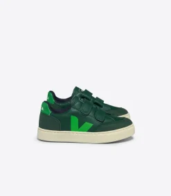 V-12 LEATHER POKER ABSINTHE>VEJA Best