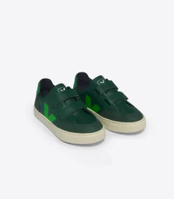 V-12 LEATHER POKER ABSINTHE>VEJA Best