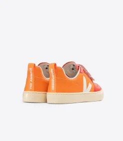 V-10 X THE ANIMALS OBSERVATORY ORANGE><noscript><img width=
